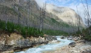 Scoperto in Canada un nuovo giacimento di fossili: specie sconosciute risalenti al periodo Cambriano