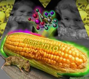 monsanto