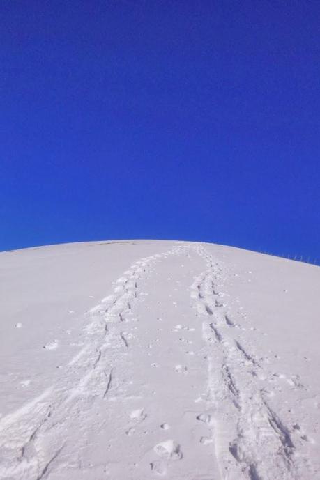 Escursione con le ciaspole (23/2, 2014)