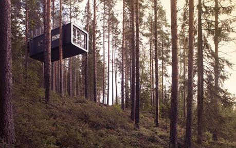 cabin - Treehotel Svezia