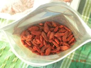 bacche di goji 