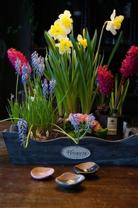 Voglia di Primavera coi bulbi !