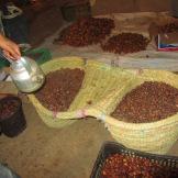 Rissani, il sapore autentico del Marocco