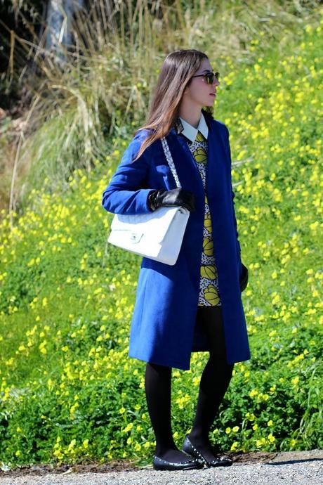 Royal blue & flower dress