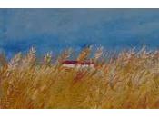 sole tramontato” Emily Bronte