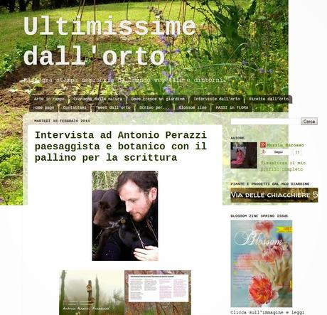 E' uscito da pochi giorni Blossom zine edizione Spring e ...