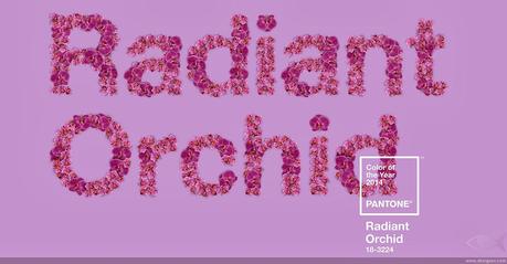 Pantone Color of the Year 2014-Radiant Orchid