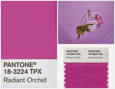 Pantone Color of the Year 2014-Radiant Orchid