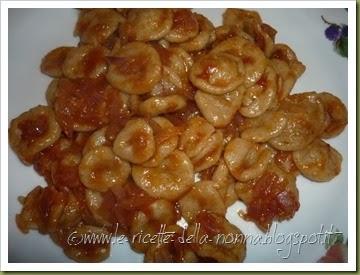 Orecchiette al sugo rosso piccante di cipolla e pomodoro (31)