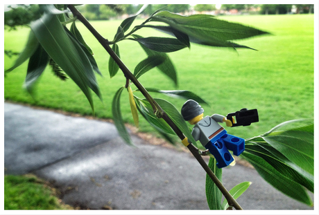 Il fotografo Lego delle piccole cose: Andrew White