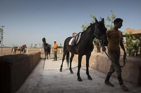 Escursione a cavallo - Marrakech, Marocco