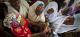 La paura di attacchi violenti blocca i vaccini anti poliomelite in Nigeria