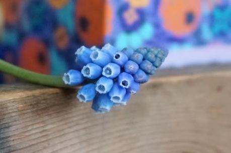 Idea creativa con i Muscari su Stile Naturale