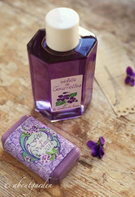 Violetta parfum