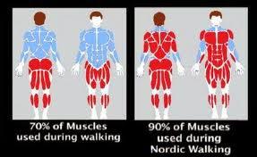 Nordic walk: come ritrovare la forma con la camminata nordica