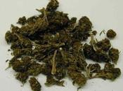 Siracusa: marijuana, finisce carcere 40enne trovato grammi confezionati dosi