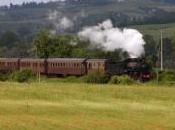Viaggi nella natura: treno alla scoperta delle Terre Siena