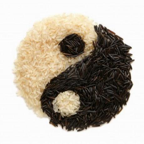 I Ching e Tecnica 7: Yin e Yang, Nascita del Concetto