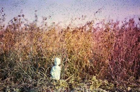 Clementine, The Clonette Doll, on diswashed film. Clementine, The Clonette Doll, on diswashed film.
