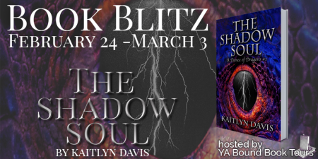 kaitlyn davis - blitz banner