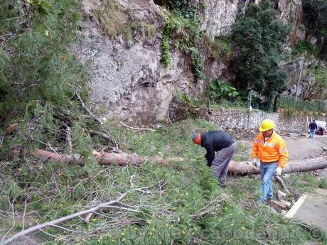 FRANA POSITANO: Il giorno dopo