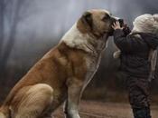 Bambini Animali….Incredibile fotografa!
