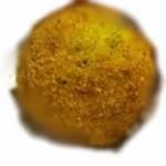 Arancini Di Riso Vegan damgas in cucina