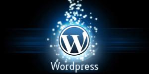 installare wordpress online