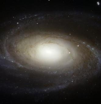 M81, esempio di galassia piuttosto 