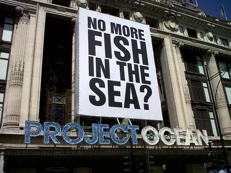 Come valutare una campagna di comunicazione ambientale. Il caso Selfridges Project Ocean