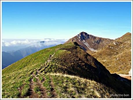 COLLE DEI LARICI IN CARNIA