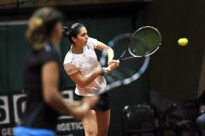 gatto montic clerico1