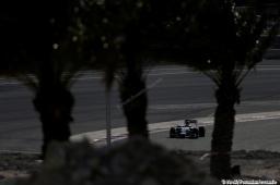 A Mercedes F1 car on track - view through the trees Report Pirelli: F1 Test 2014 Bahrain 2