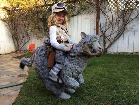 costume-luke-tauntaun