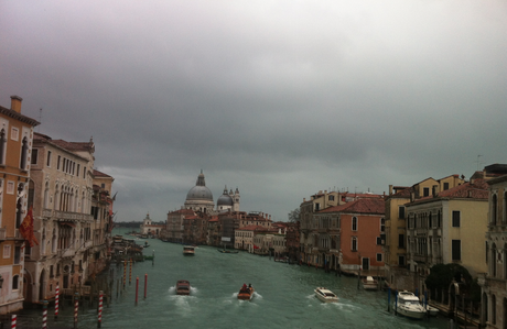 Venezia 1 marzo 2014