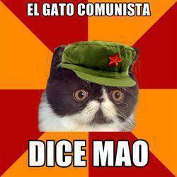 gato comunista