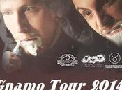 Gnamo Tour 2014: Fantasia Pura Italiana Silos Ancona, venerdi' marzo.
