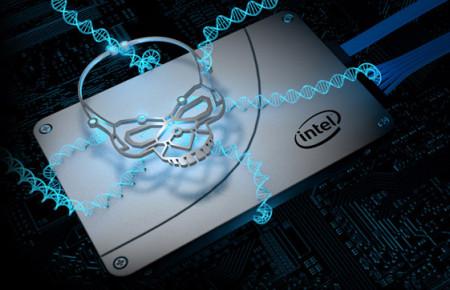 intel_730_ssd_scull