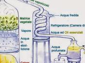 Oggi nella rubrica: essenziali, Metodi estrazione delle essenze