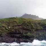 Tra pecore e balene: la vita degli abitanti delle Far Oer