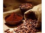 numerose proprietà cacao