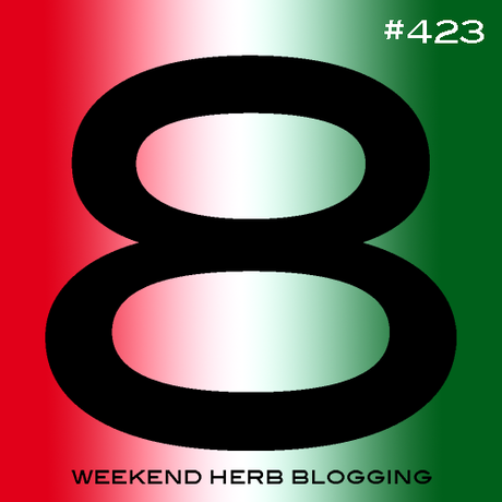 WHB#423 è qui!!!! - WHB#423 is here!!!