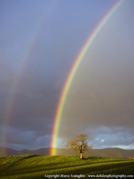 Over the raimbow