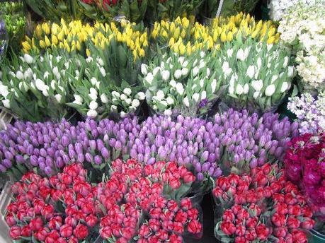 flower-market-maggio
