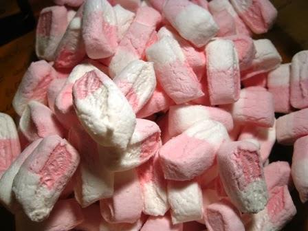 Quel salame di Mammazan ma al cioccolato e con i Marshmallows