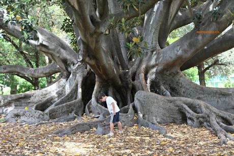 Australia: Perth e dintorni