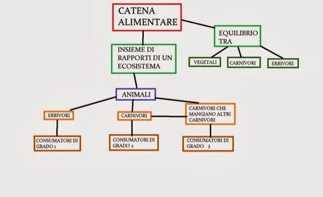 LA CATENA ALIMENTARE