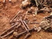 Siracusa: ossa umane cantiere della Siracusa-Floridia, probabile caso lupara bianca