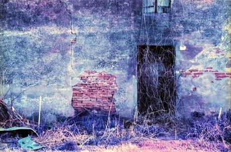 PURPLE Ruins - Lomography LomoChrome Purple XR 100-400 FIRS ROLL pt. 1