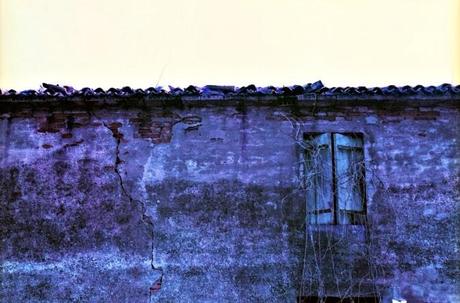 PURPLE Ruins - Lomography LomoChrome Purple XR 100-400 FIRS ROLL pt. 1